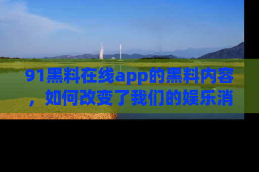 91黑料在线app的黑料内容,如何改变了我们的娱乐消费习惯?