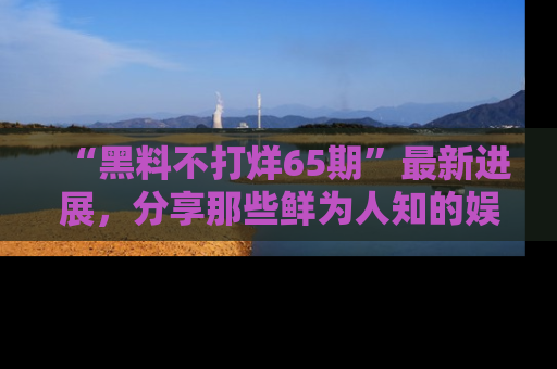 “黑料不打烊65期”最新进展,分享那些鲜为人知的娱乐八卦