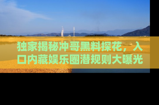 独家揭秘冲哥黑料探花,入口内藏娱乐圈潜规则大曝光