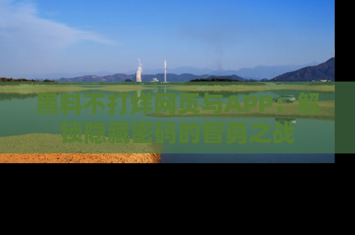 黑料不打烊网页与APP:解锁隐藏密码的智勇之战