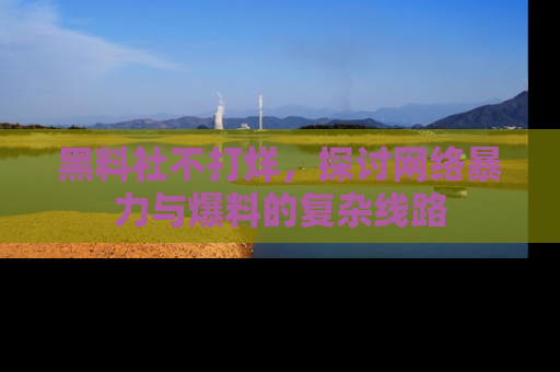 黑料社不打烊,探讨网络暴力与爆料的复杂线路