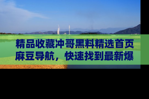 精品收藏冲哥黑料精选首页麻豆导航,快速找到最新爆料