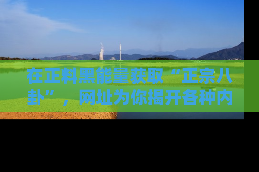 在正料黑能量获取“正宗八卦”,网址为你揭开各种内幕故事!