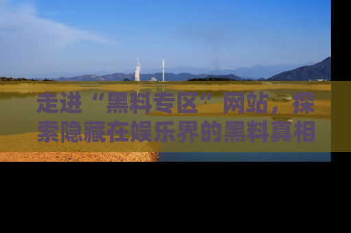 走进“黑料专区”网站,探索隐藏在娱乐界的黑料真相